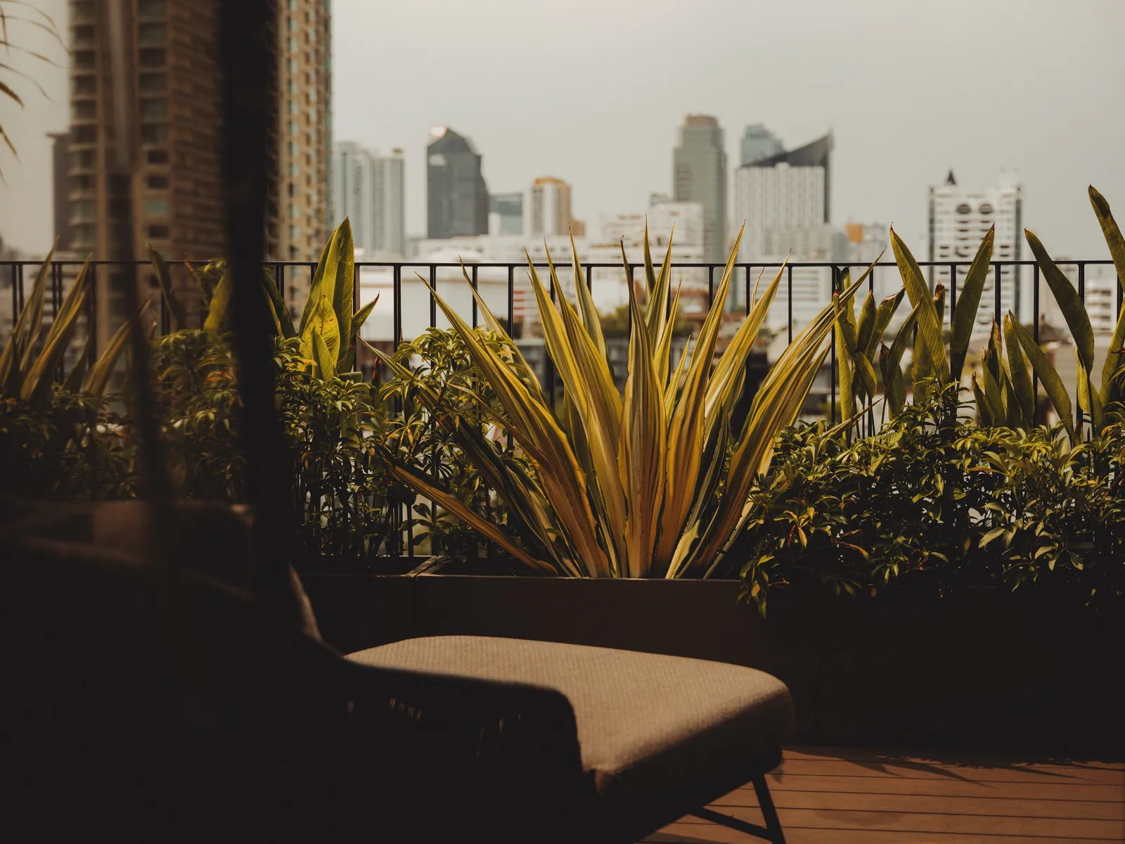 The planted rooftop terrace at Public House Bangkok looking across the Sukhumvit skyline at dusk